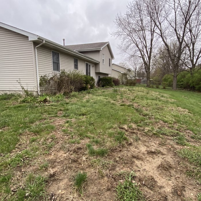 Before: a patchy back lawn sloping away from the house, bare eroded soil showing through thin grass, no hardscape